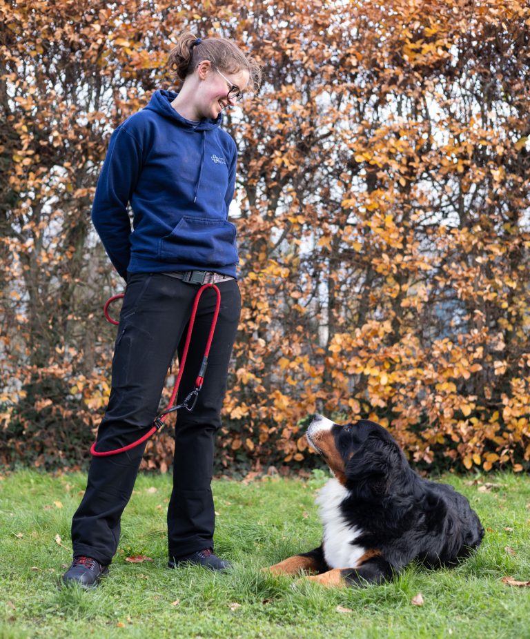 Dog trainer looking at her dog.