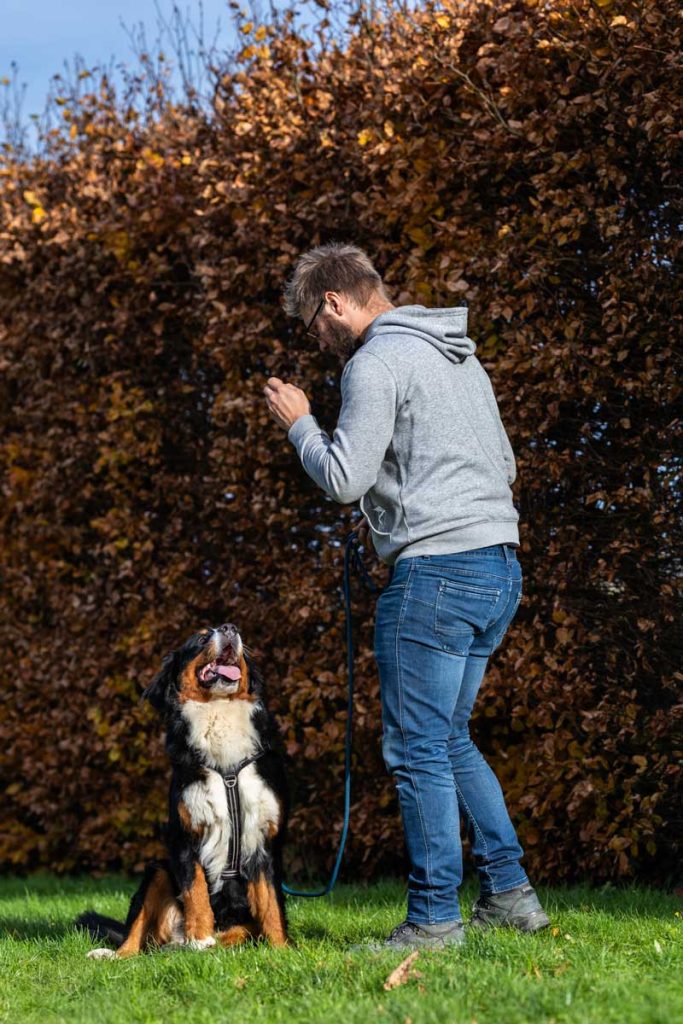 Trainer geeft instructie aan hond.